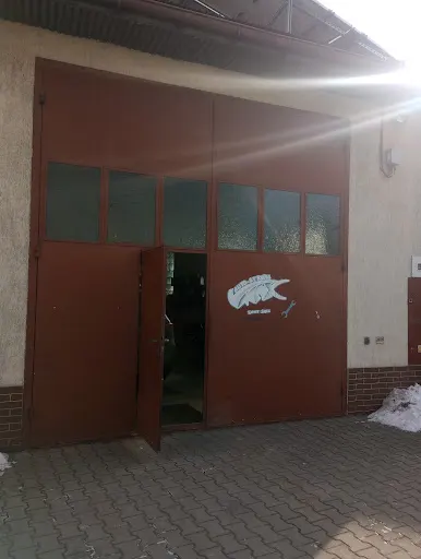 MB AUTO SERWIS MICHAŁ BOŁOZ